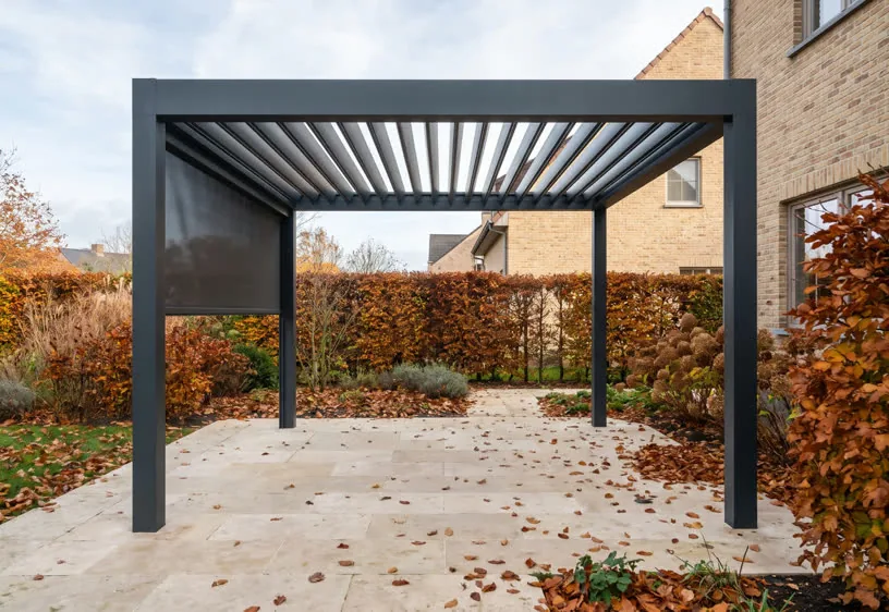 Pergola boven een natuursteenterras met beukenhaag in de herfst